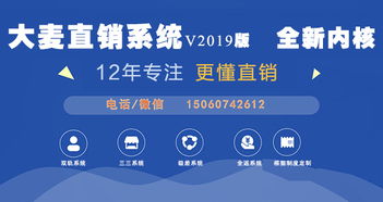 直销软件开发与人工智能公共服务平台技术咨询服务