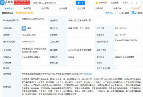 海南成立人工智能公司，注册资本1000万，专注软件开发